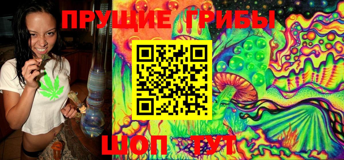 купить наркоту  Вход с VPN  Азов  Псилоцибиновые грибы Psilocybine cubensis 