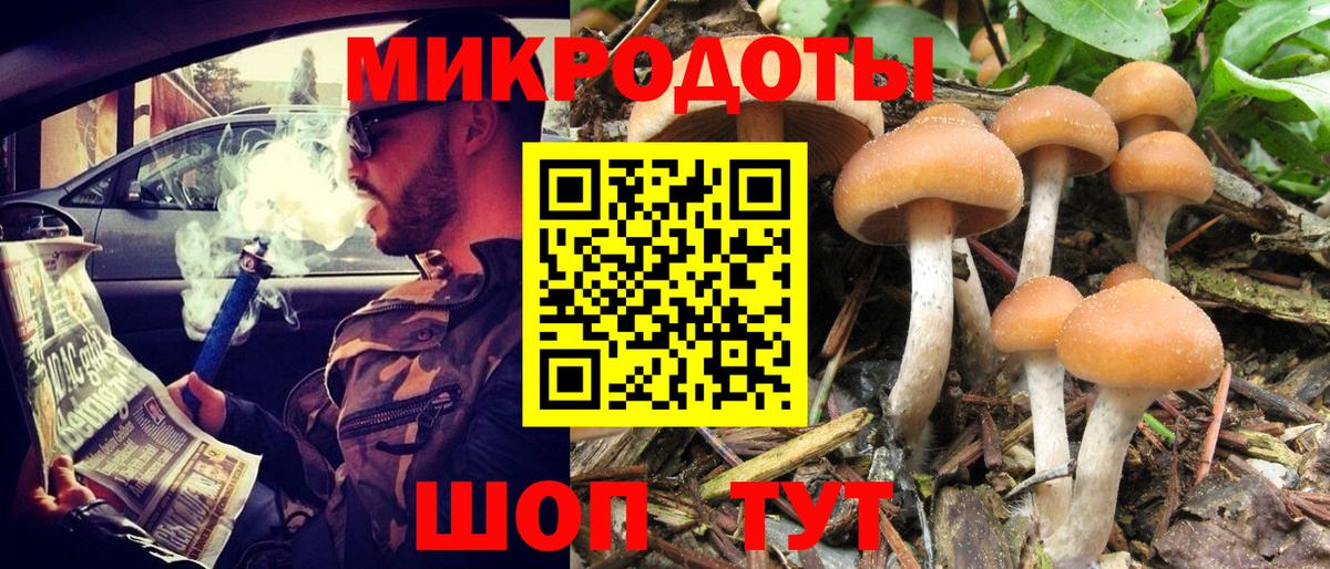 Псилоцибиновые грибы Cubensis Азов